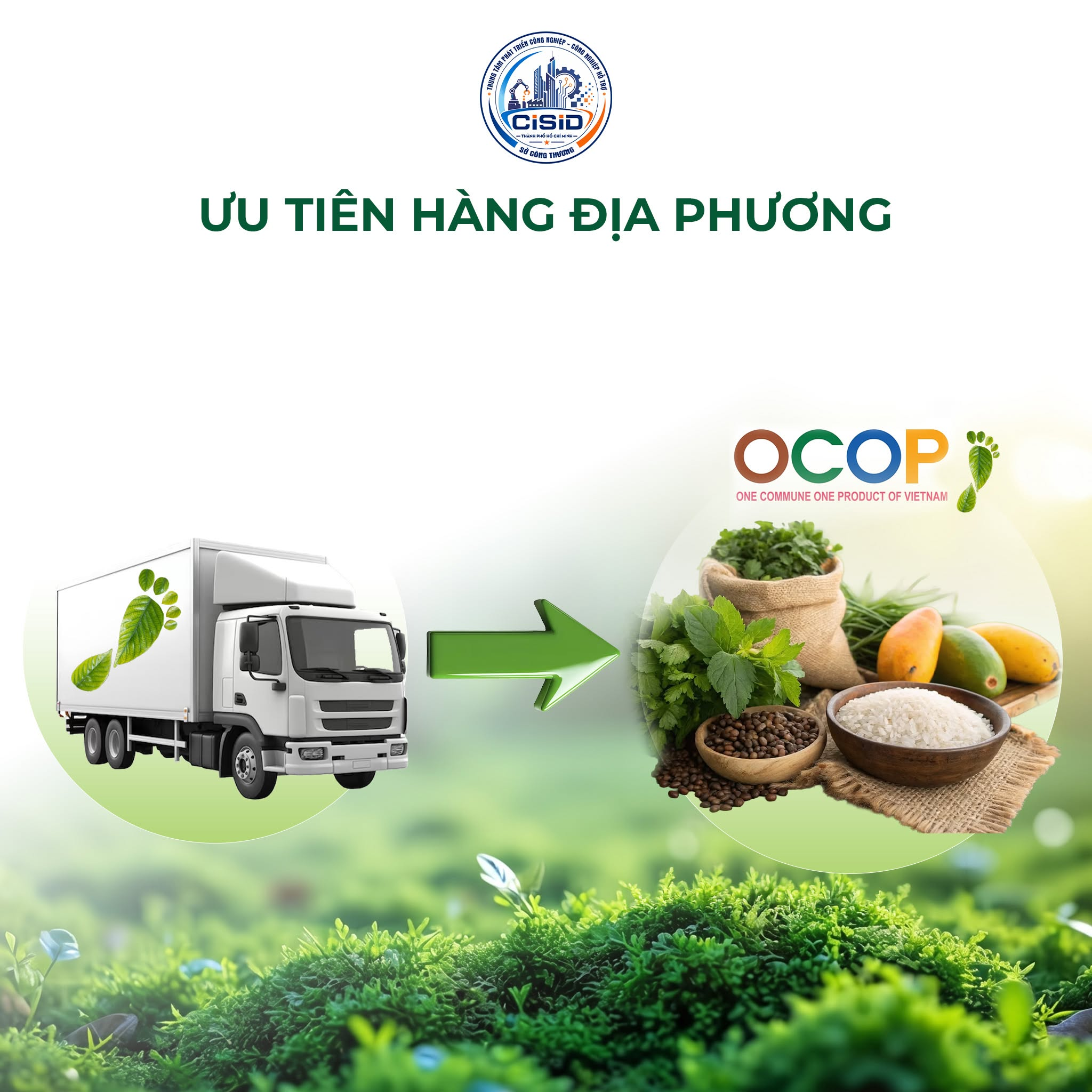 4 LƯU Ý KHI CHỌN SẢN PHẨM THÂN THIỆN VỚI MÔI TRƯỜNG